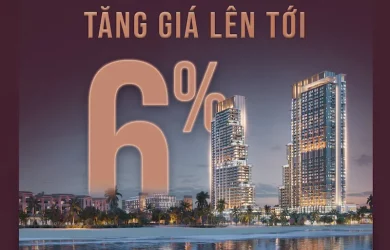 tang-gia-ban-tai-aria-bay