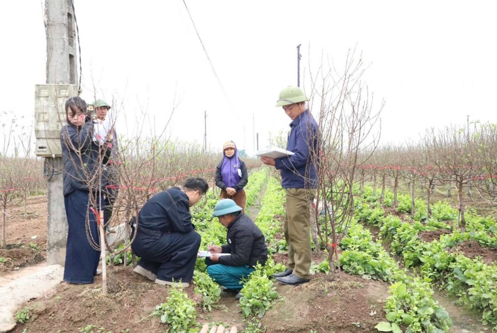 Ghi nhận khảo sát hiện trạng tại xã Hồng Vân (26/01-03/02/2026) phục vụ công tác chuẩn bị hồ sơ giải phóng mặt bằng.
